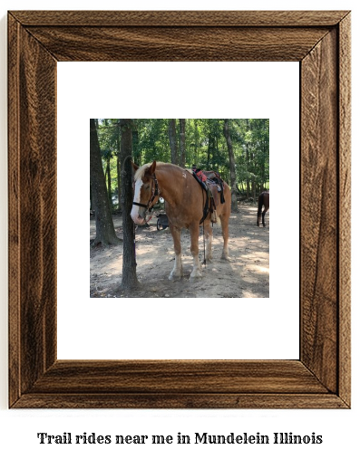 trail rides near me in Mundelein, Illinois